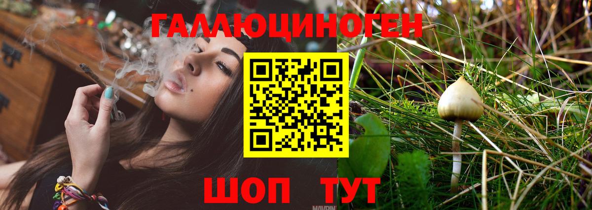 Егорьевск  Псилоцибиновые грибы мухоморы  хочу наркоту  Вход с VPN 